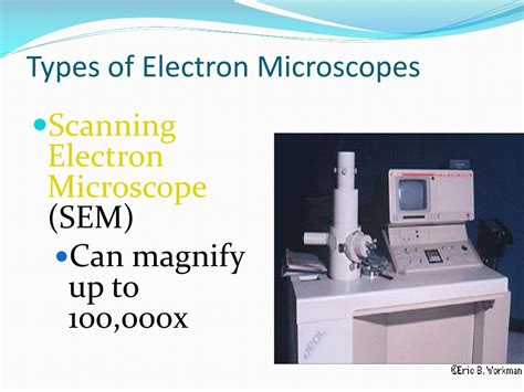 types of electron microscope ppt.